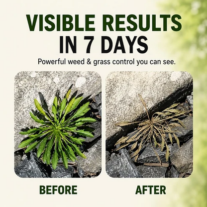 ✨2026 SALE - Fast-Acting Natural Weed & Grass Killer Spray